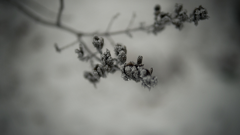 photo-1-2